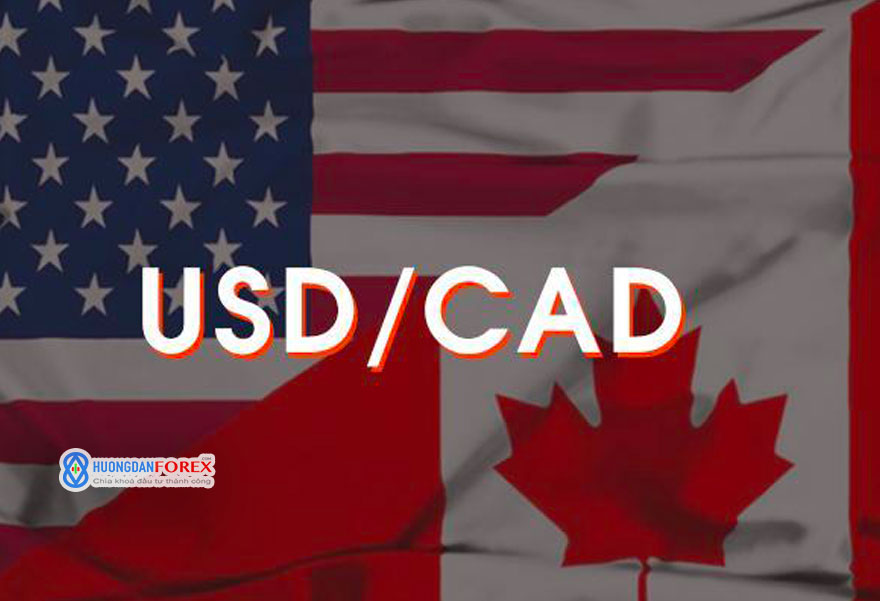 13/01/2021: Dự báo đô-la Canada (USD/CAD) phục hồi, liệ nó sẽ sớm đảo chiều giảm?