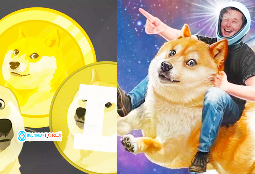 9/5/2021: Dogecoin, Tesla, GameStop – Xu hướng FinTwit đáng theo dõi trong tuần tới