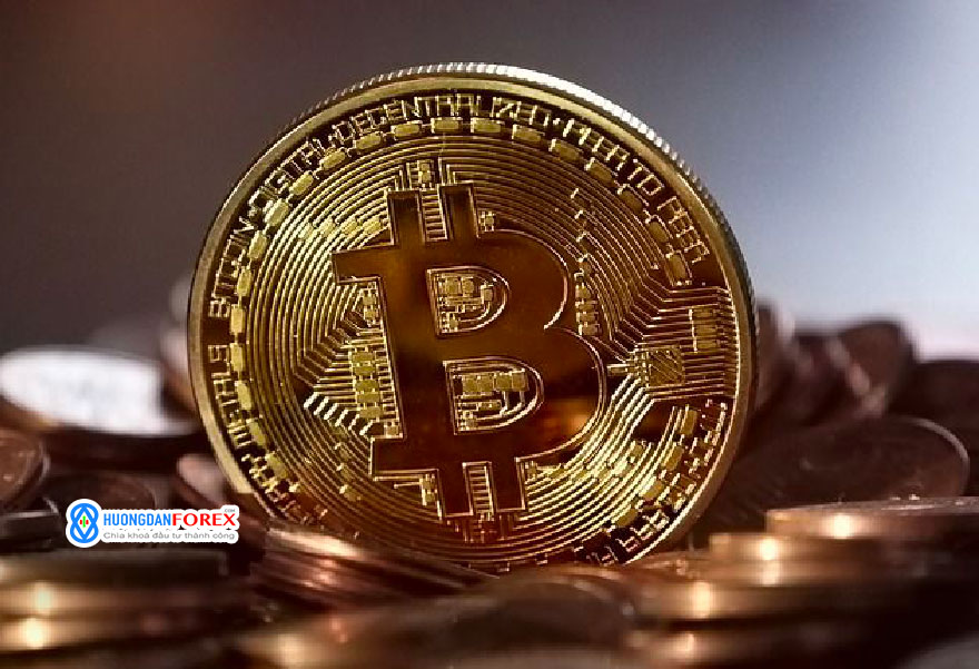 Bitcoin, Ethereum tiếp tục giảm khi thị trường xuất hiện trạng thái “sợ hãi tột độ’ – Liệu các mức hỗ trợ này có cho phép chúng hồi lại?