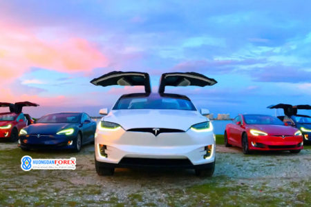 Tesla tại Ấn Độ chuyển hướng tập trung sang khu vực Châu Á – Thái Bình Dương rộng lớn hơn giữa những điều kiện bất lợi về quy định