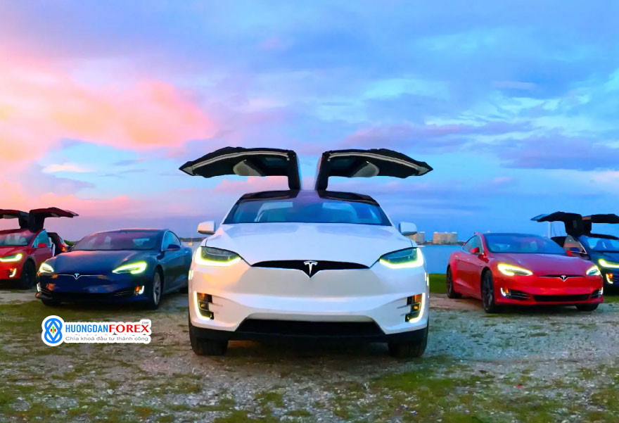 Tesla tại Ấn Độ chuyển hướng tập trung sang khu vực Châu Á – Thái Bình Dương rộng lớn hơn giữa những điều kiện bất lợi về quy định