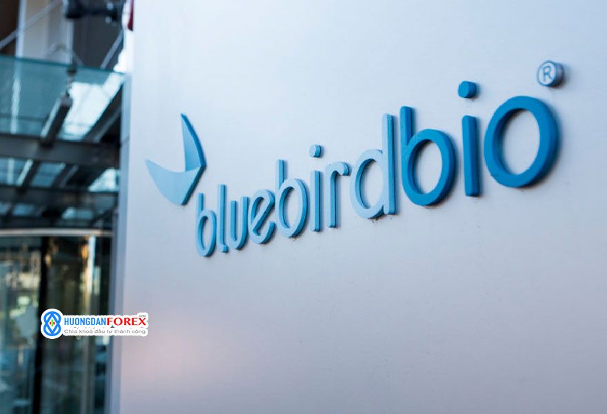 FDA đồng ý Liệu pháp gene trị giá $3 triệu đô của Bluebird Bio với chứng rối loạn thần kinh hiếm gặp ở trẻ em trai: Nhà đầu tư nên biết