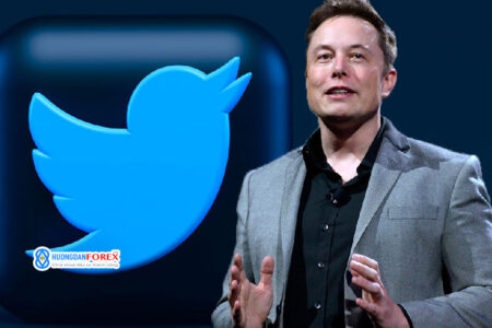 Twitter thân thiện hơn với Web3, nhưng liệu nó có tồn tại được với Elon Musk người ghét NFT?