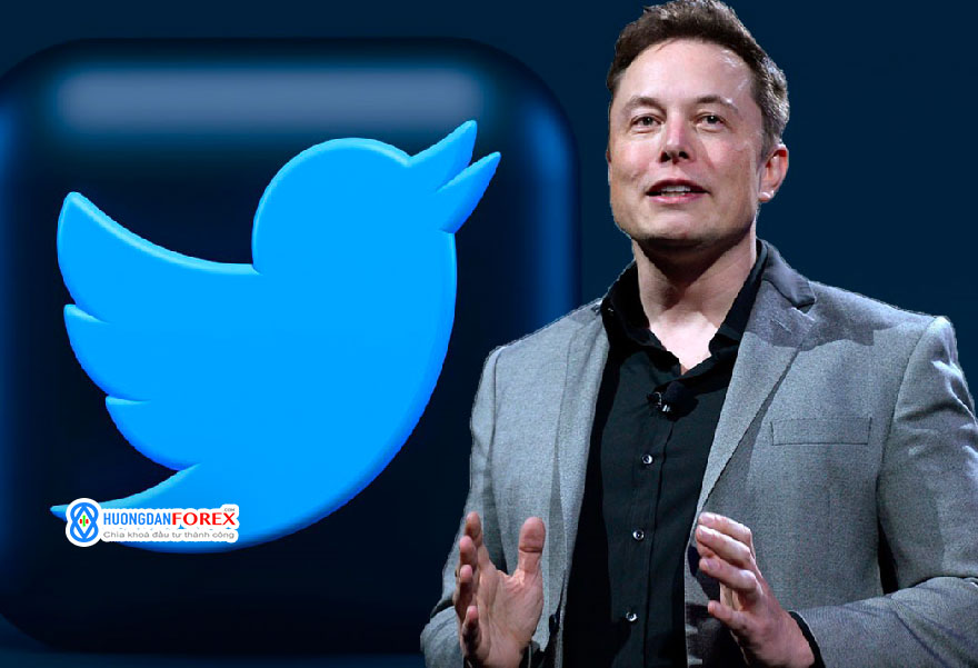 Twitter thân thiện hơn với Web3, nhưng liệu nó có tồn tại được với Elon Musk người ghét NFT?