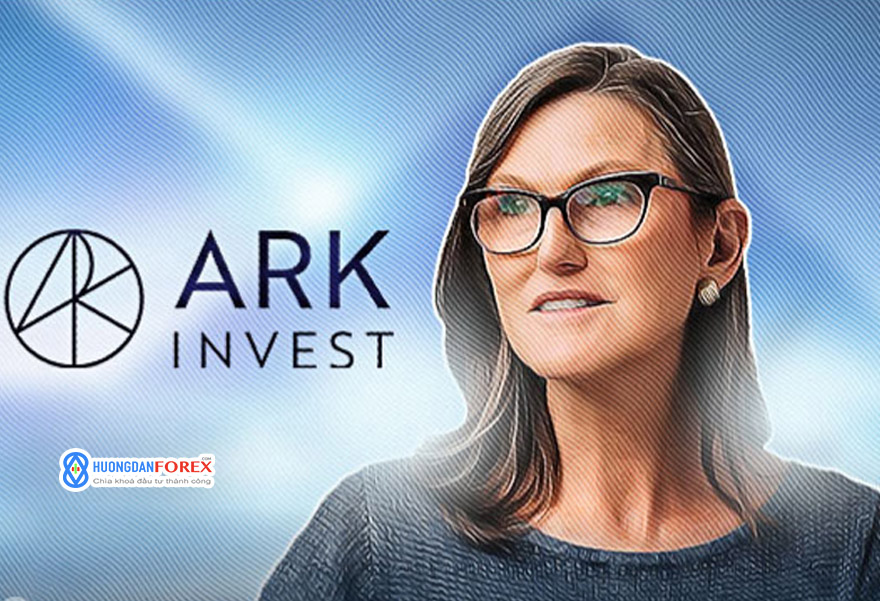 Cathie Wood của Ark Invest giảm lượng cổ phiếu GBTC Holdings, mua thêm cổ phiếu Robinhood